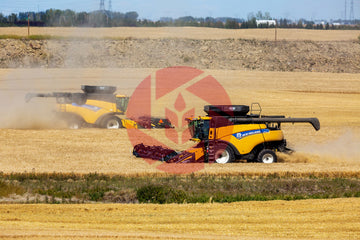 Combine in barley field