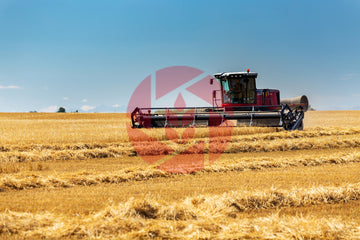 Swather cutting barley field